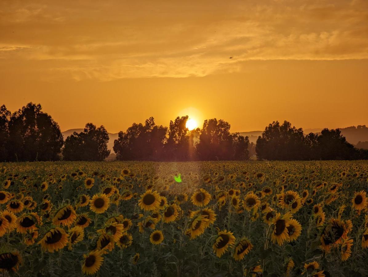Agriturismo Poderedodici Orbetello Ngoại thất bức ảnh