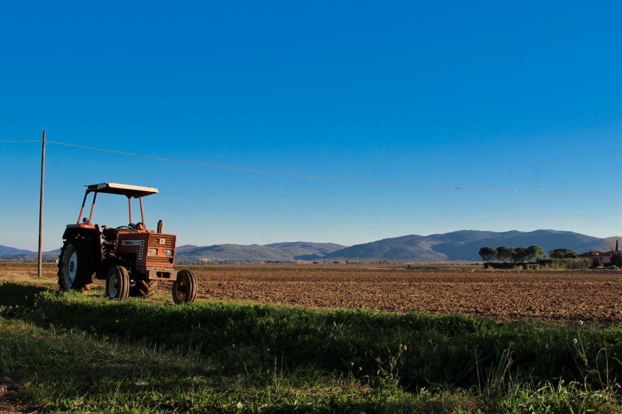 Agriturismo Poderedodici Orbetello Ngoại thất bức ảnh