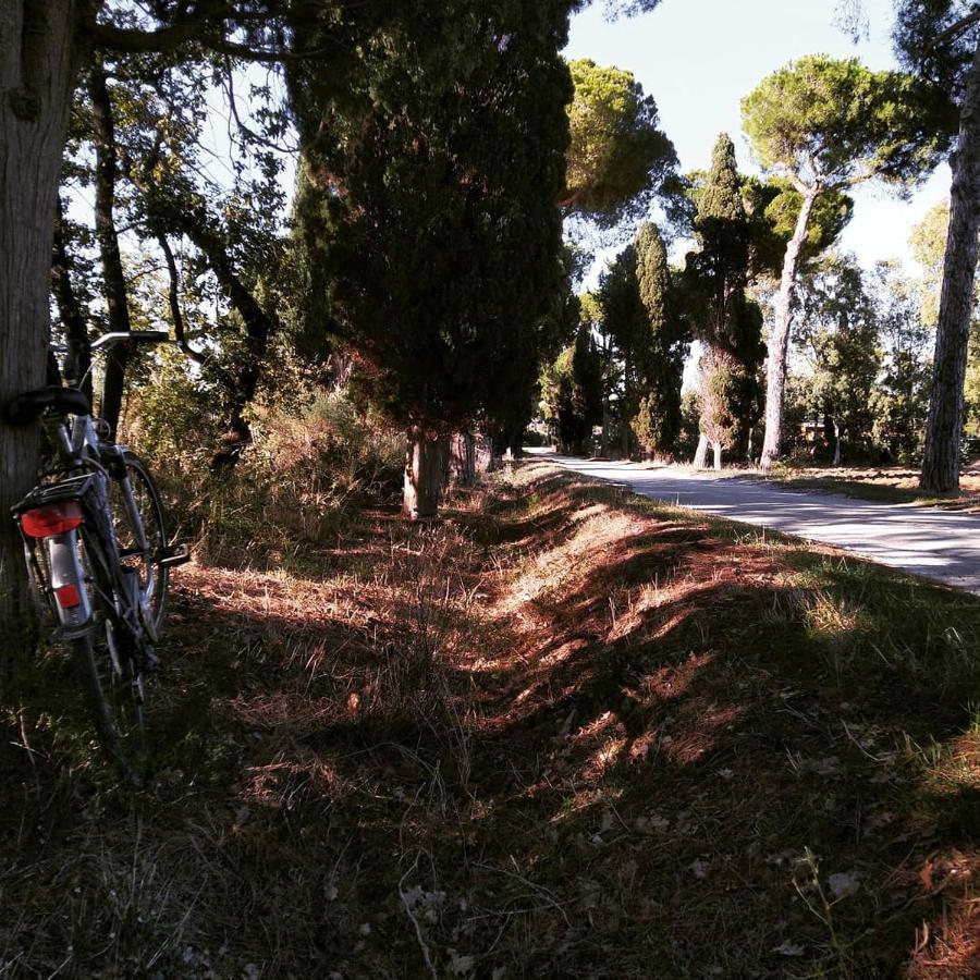 Agriturismo Poderedodici Orbetello Ngoại thất bức ảnh